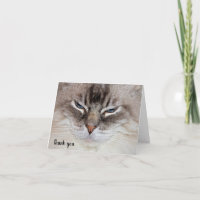 Ragdoll Cat Pet Care Thank You