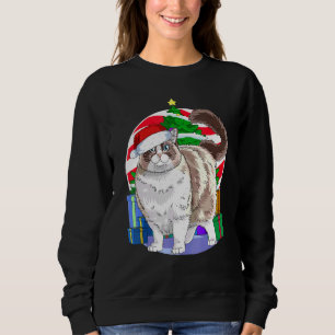 Ragdoll Cat Santa Christmas Tree Decor Sweatshirt
