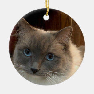 Ragdoll Cat with Blue Eyes can be personalised  Ceramic Tree Decoration