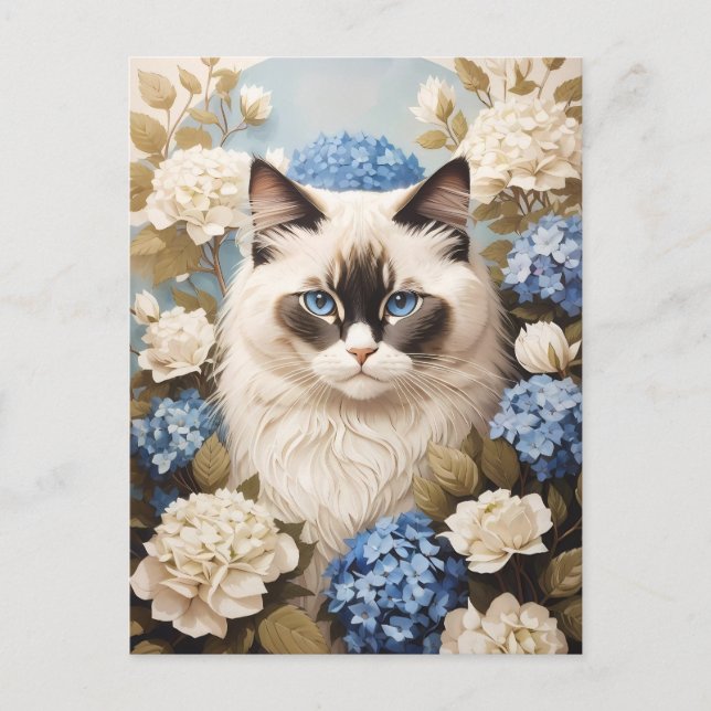 Ragdoll Cat With Blue Hydrangea Flowers Postcard (Front)