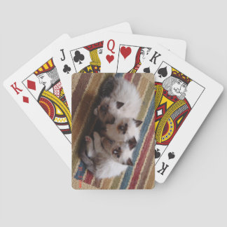 Ragdoll Deck of Cards