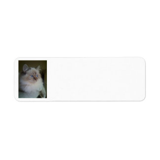 Ragdoll Himalayan Cat Return Address Labels