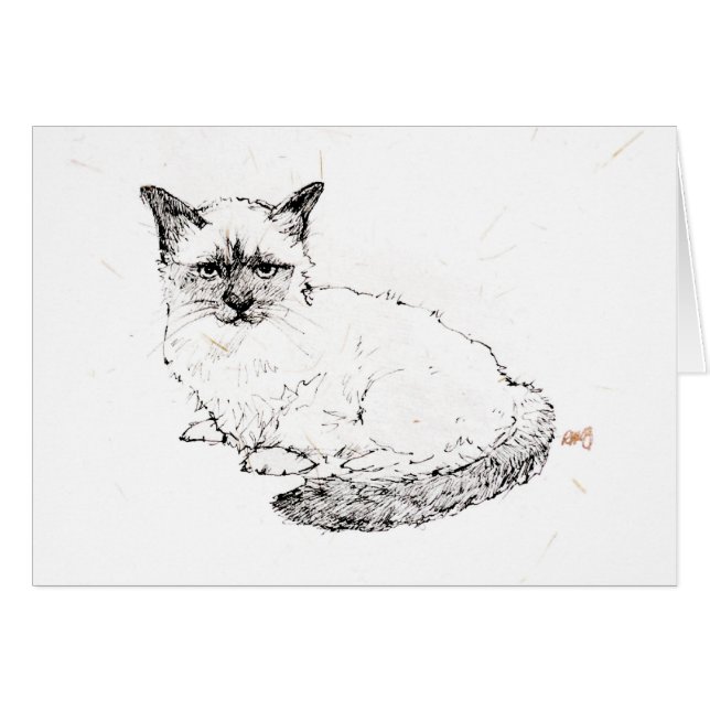 Ragdoll Kitten (Front Horizontal)