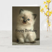 Ragdoll Kitten Birthday Card (Yellow Flower)
