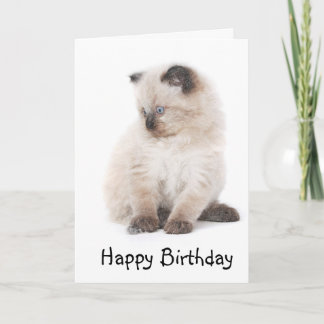 Ragdoll kitten birthday card