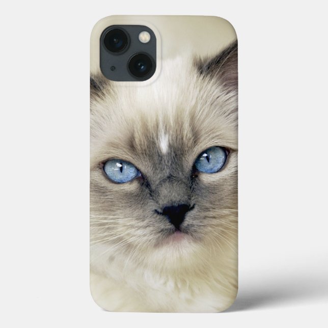 Ragdoll kitten Case-Mate iPhone case (Back)
