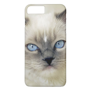 Ragdoll kitten Case-Mate iPhone case
