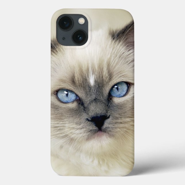Ragdoll kitten Case-Mate iPhone case (Back)