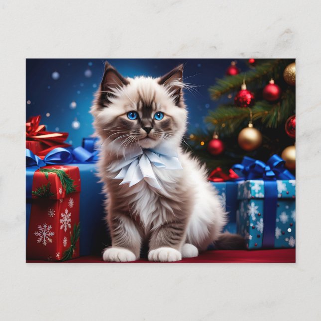 Ragdoll Kitten Christmas Present  Postcard (Front)