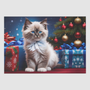 Ragdoll Kitten Christmas Present  Tissue Paper