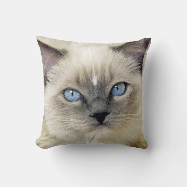 Ragdoll kitten cushion (Front)