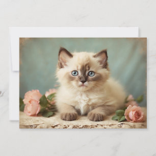 Ragdoll Kitten Cute Vintage Portrait Flowers Sweet Holiday Card