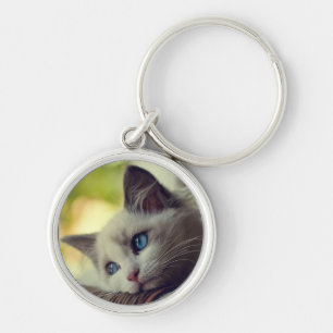 Ragdoll Kitten Key Ring