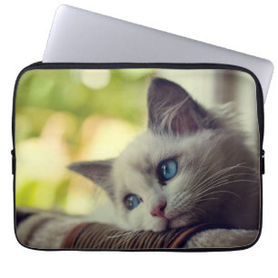 Ragdoll Kitten Laptop Sleeve