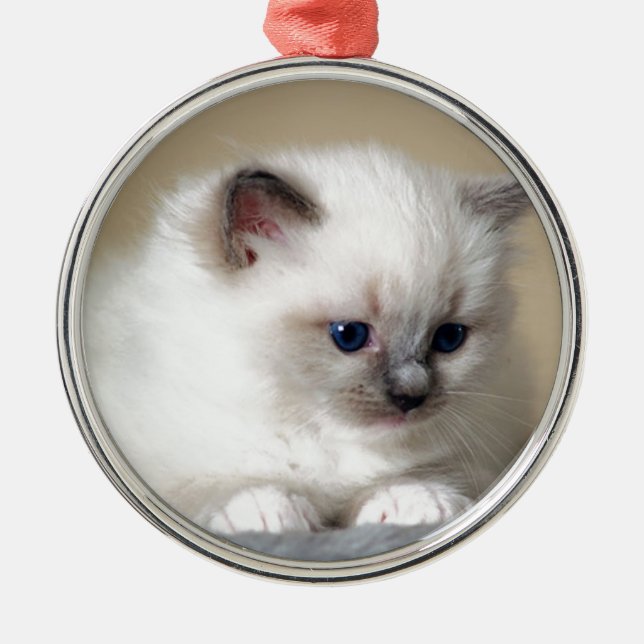 Ragdoll Kitten Metal Tree Decoration (Front)