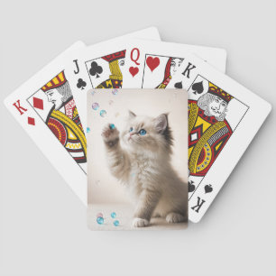 Ragdoll Kitten Playing With Bubbles Cards