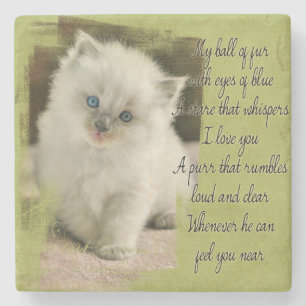 Ragdoll kitten stone coaster
