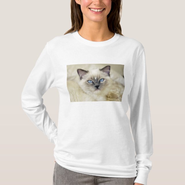 Ragdoll kitten T-Shirt (Front)