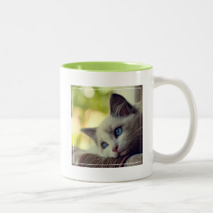 Ragdoll Kitten Two-Tone Coffee Mug