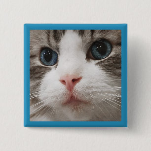 Ragdoll Kitty 15 Cm Square Badge