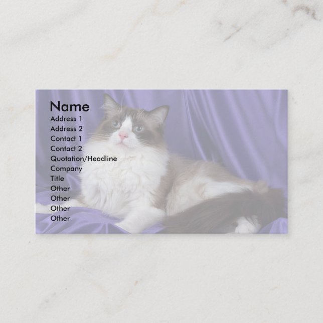 Ragdoll, seal bi-colour business card (Front)