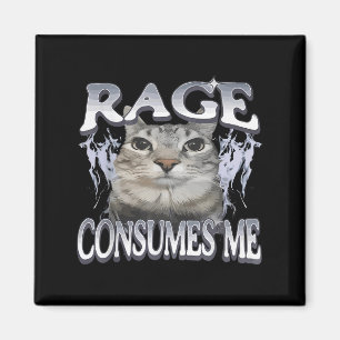 Rage Consumes Me Funny Silly Staring Cat Meme Wome Magnet