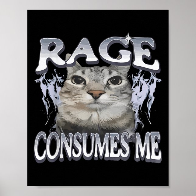 Rage Consumes Me Funny Silly Staring Cat Meme Wome Poster (Front)