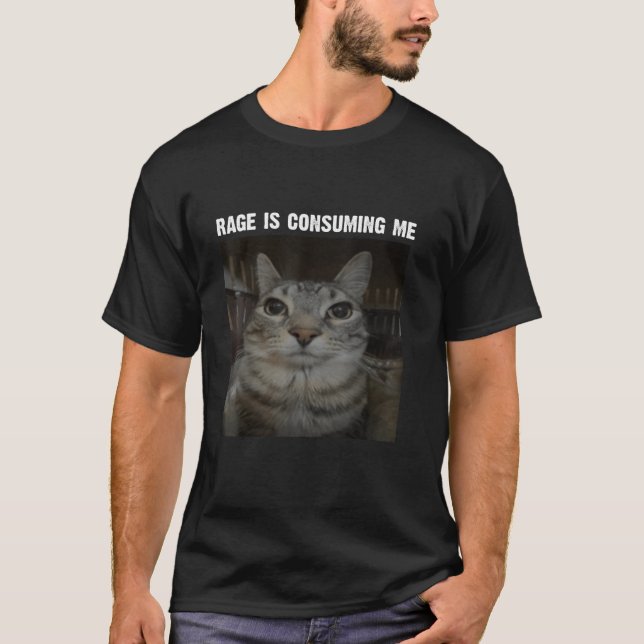 Rage Is Consuming Me Cat Silly Staring Cat Funny C T-Shirt (Front)