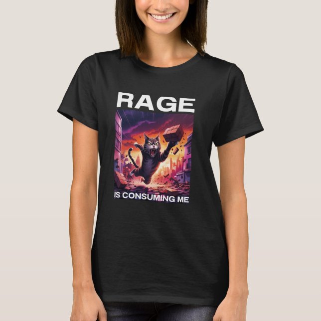 Rage Is Consuming Me Funny Silly Staring Cat Meme T-Shirt (Front)