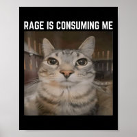 Rage Is Consuming Me Meme Cat Meme Oddly Specific