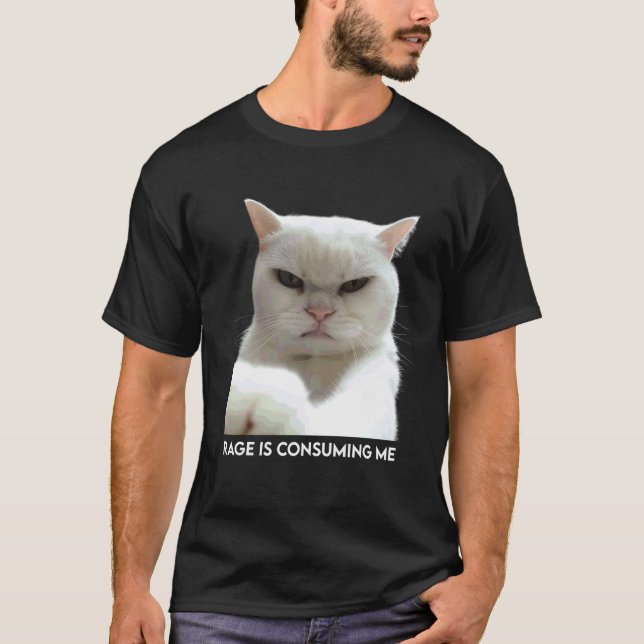 Rage Is Consuming Me Meme Cat Meme Oddly Specific  T-Shirt (Front)