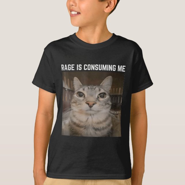 Rage Is Consuming Me Meme Cat Meme Oddly Specific  T-Shirt (Front)
