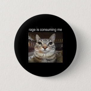 Rage Is Consuming Me Silly Staring Cat Meme  6 Cm Round Badge