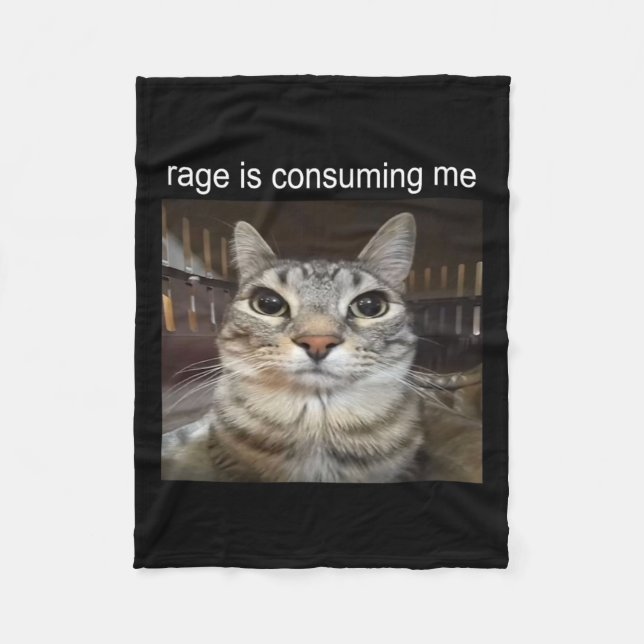 Rage Is Consuming Me Silly Staring Cat Meme  Fleece Blanket (Front)