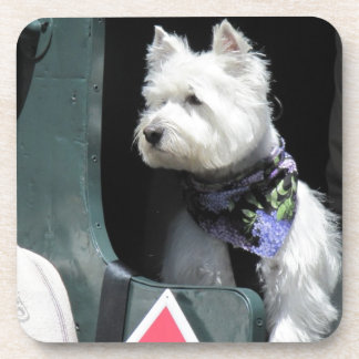 Railroad Terrier Dog Coaster