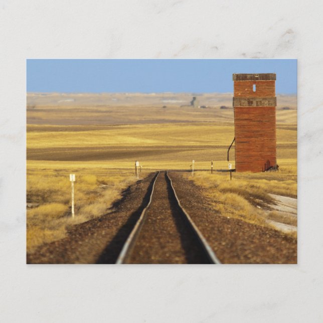 Railroad tracks lead to old granary at Collins Postcard (Front)