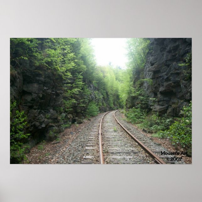 Railroad Tracks Poster (Front)