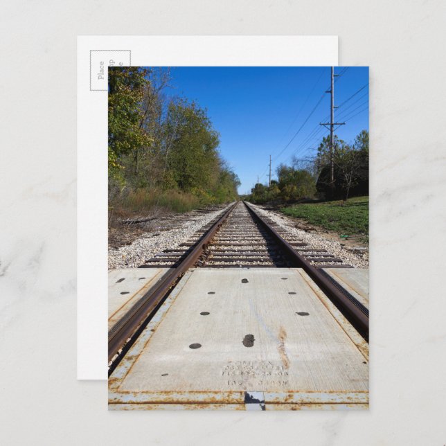Railroad Train Tracks Scenic Photography Postcard (Front/Back)