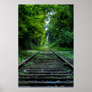 Railroad Train Tracks thru Green Woods Poster