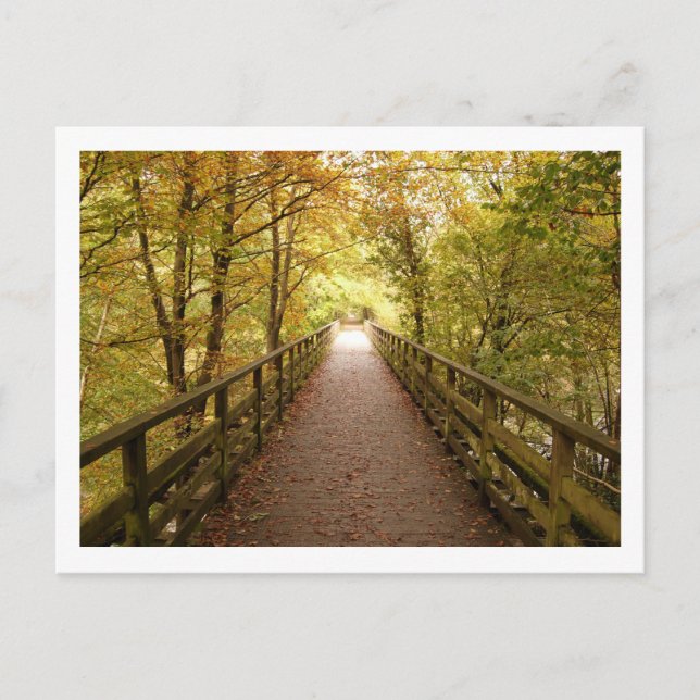 Railway Path: Keswick Postcard (Front)