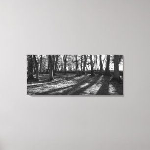 Railway Trees Canvas Print