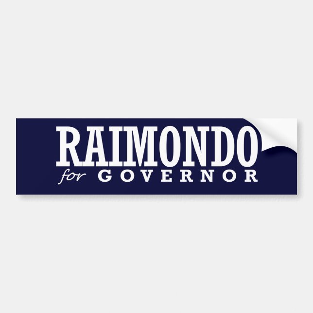 RAIMONDO FOR GOVERNOR 2014 BUMPER STICKER (Front)