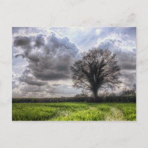 Rain Clouds in Spring HDR Postcard