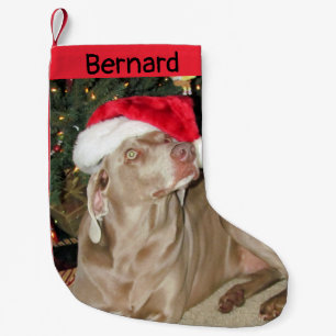 Rain Cute Weimaraner Dog - Personalised  Small Christmas Stocking