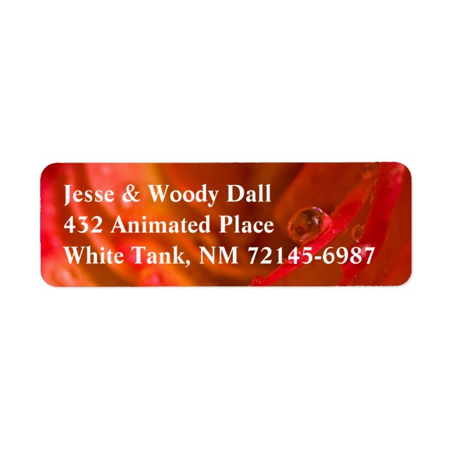 Rain Drop Flaming Rose Address Label (Front)