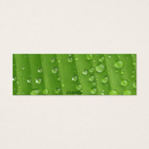 rain drops