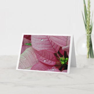 Rain Drops Holiday Card