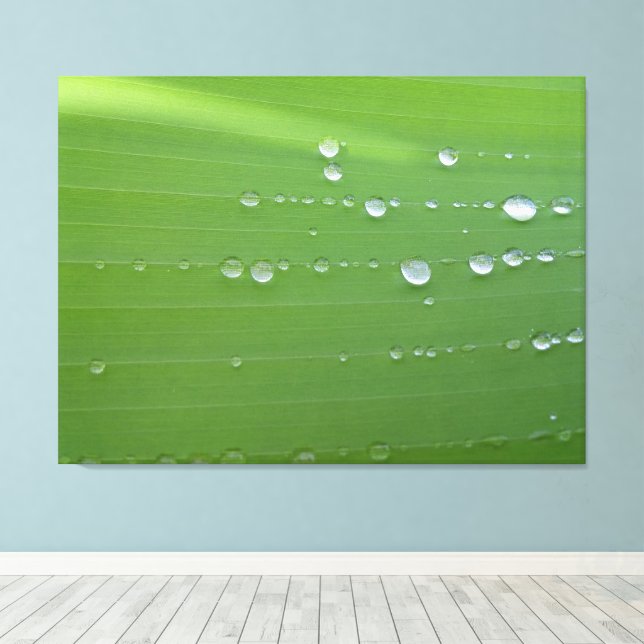 Rain Drops on Green Leaf Photography Canvas Print (Insitu(Wood Floor))