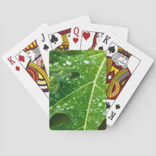 Rain Drops on Green Papaya Leaf Playing Cards