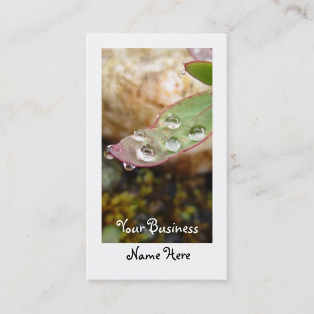 Rain Drops on Leaf Business Card (Front)